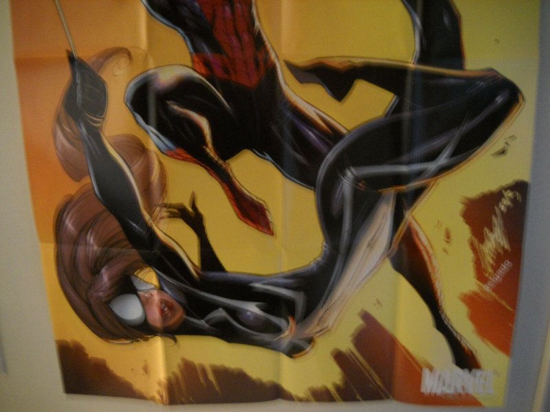 2010 AMAZING SPIDER-MAN  PROMOTIONAL  POSTER  