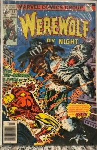 Werewolf by Night #43 (1977)