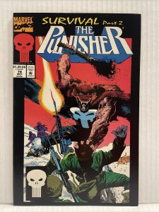 Punisher #78