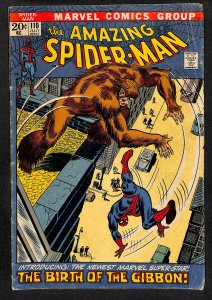 The Amazing Spider-Man #110 (1972)