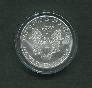 1999 Full Color American Silver Eagle