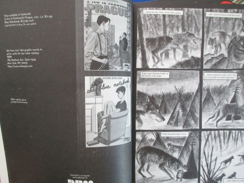 1997 SHELTER by Cecil Fernando VF/NM 9.0 NBM Pub Comics