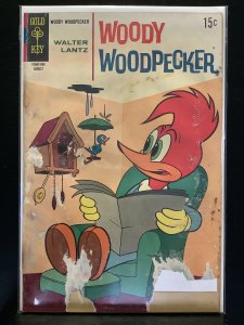 Walter Lantz Woody Woodpecker #106