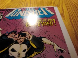 The Punisher #8 (1988)