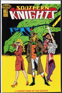 Southern Knights #20 (1987)