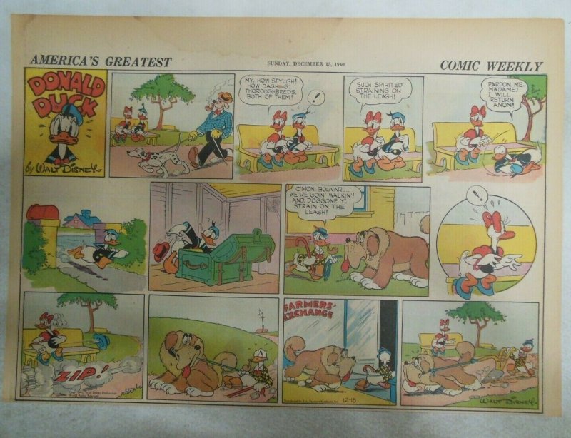 Donald Duck Sunday Page by Walt Disney from 12/15/1940 Half Page Size 