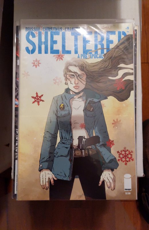 Sheltered #9 (2014)