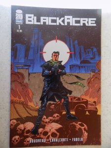 BLACK ACRE # 1 IMAGE VARIANT 1ST PRINT