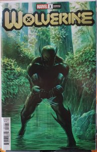Wolverine #1 NM ALEX ROSS VAR DX