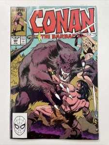 Conan The Barbarian 224