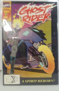 Ghost Rider #1 Direct Edition (1990)