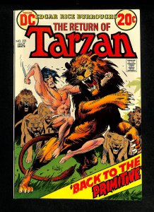 Tarzan (1972) #221