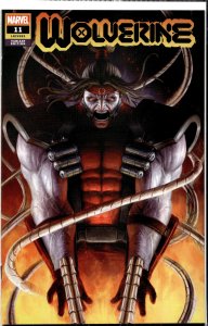 Wolverine #11 Rapoza Cover A (2021) Wolverine