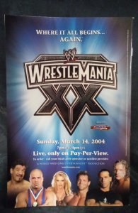 Superman / Batman #8 Third Print Cover (2004)