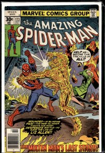 The Amazing Spider-Man #173 (1977) Spider-Man