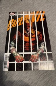 Daredevil #25  Elektra becomes the New Daredevil Checchetto Cover MCU?