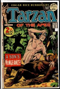Edgar Rice Burroughs' Tarzan #208 (1972)