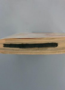 Eternal Sabbath #8, Fuyumi Soryo, Del Rey