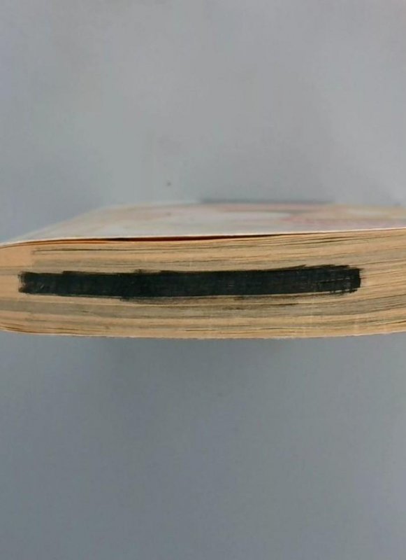 Eternal Sabbath #8, Fuyumi Soryo, Del Rey