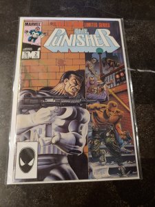 THE PUNISHER #2 NM HARD TO FIND