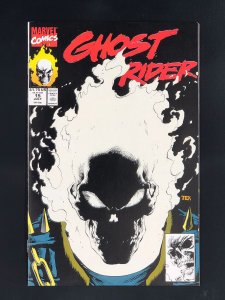 Ghost Rider #15 (1991) Glow-In-The-Dark Cover!
