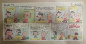 Peanuts Sunday Page by Charles Schulz from 11/13/1966 Size: ~7.5 x 15 inches