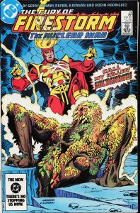 The Fury of Firestorm #26 (1984) Firestorm