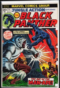 Jungle Action #5 (1973) Black Panther