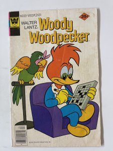 Walter Lantz Woody Woodpecker #165 - VG (Whitman)