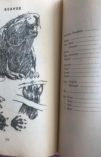 Mark trail’s Book of animals 1968 scholastic PB