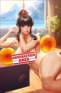 Chi Chi Dragon Ball Z Cosplay 5 Book Set by Bearwitch BooKoo Bear Babes