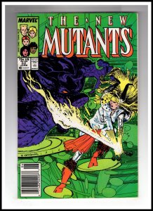 The New Mutants #52 (1987) / HCA1