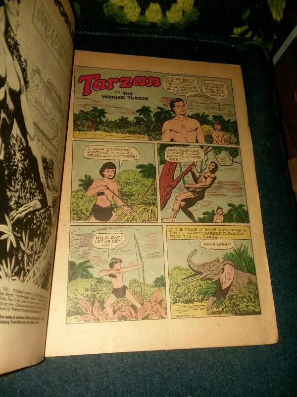 Tarzan #22 Dell Comics Aug 1951 Golden age edgar rice burroughs precode jungle