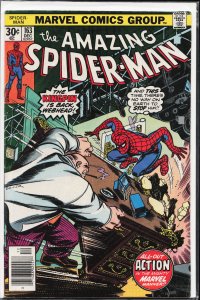The Amazing Spider-Man #163 (1976) Spider-Man