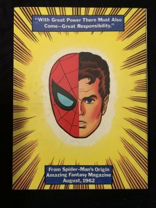 Marvel Treasury Edition The Spectacular Spider-Man #1-1974- VG/F