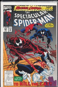 The Spectacular Spider-Man #201 (1993) Spider-Man