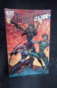 Danger Girl/G.I. Joe #2 (2012)