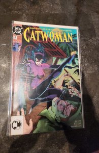 Catwoman #3 (1993)