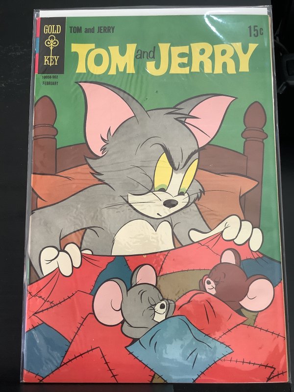 Tom and Jerry #243 (2008)