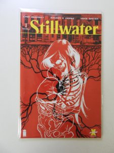 Stillwater #1 (2020)
