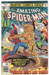 The Amazing Spider-Man #173 (1977)
