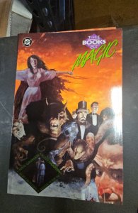 The Books of Magic #2 (1991)