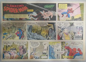 Spiderman Sunday by Stan Lee & John Romita from 10/2/1977 Size: 11 x 15 inches