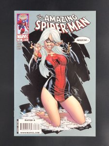 The Amazing Spider-Man #607 (2009) Cover Art by J. Scott Campbell