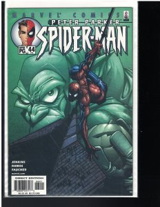 Peter Parker Spider-Man #44 (Marvel, 2002)