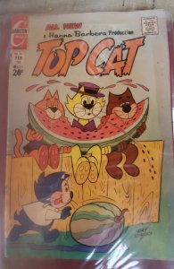 Top Cat #15 (1973)
