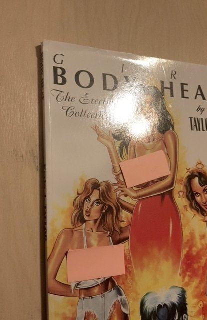 Girl: Body Heat #1 (1999) The Erection Collection by Taylor