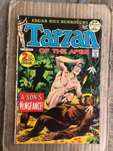 Edgar Rice Burroughs' Tarzan #208 (1972)