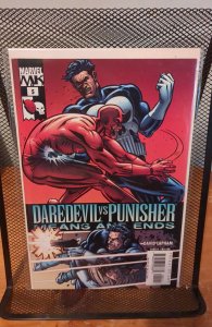 Daredevil Vs. Punisher #5 (2005)