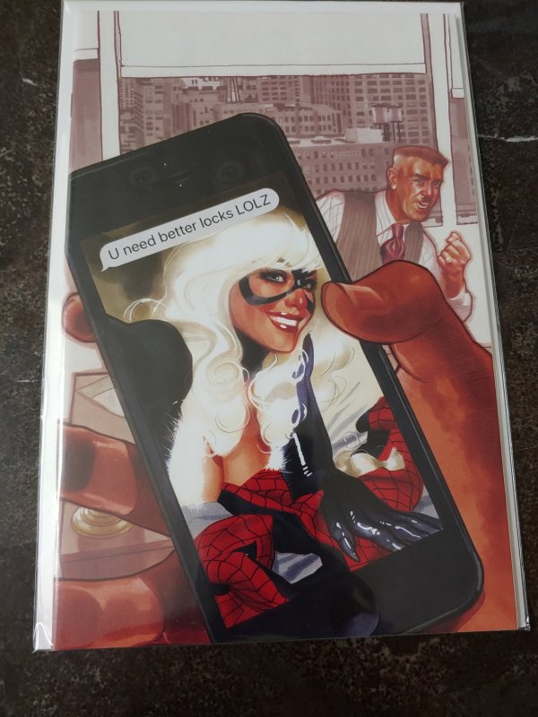 ​Amazing Spider-man #1 Adam Hughes Black Cat Virgin Variant NM